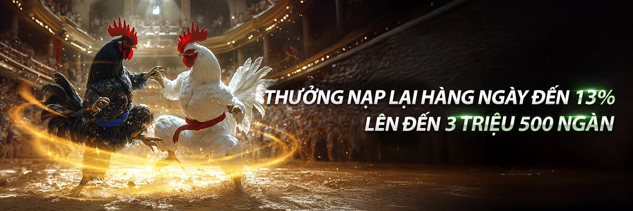 Đá gà trực tuyến clubv app với không khí sôi động