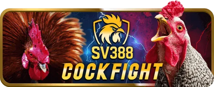 Biểu đồ quản lý vốn hiệu quả khi chơi cá cược clubv app